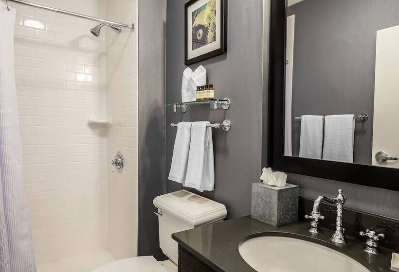 Номер Стандарт 2 Двуспальные Кровати, Envision Hotel Saint Paul South