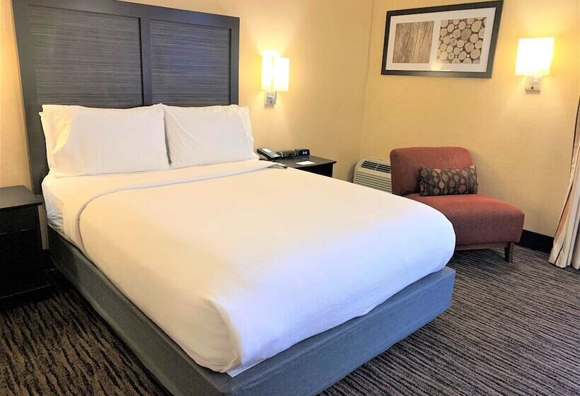 Номер Стандарт, Holiday Inn Dublin   Pleasanton, An Ihg
