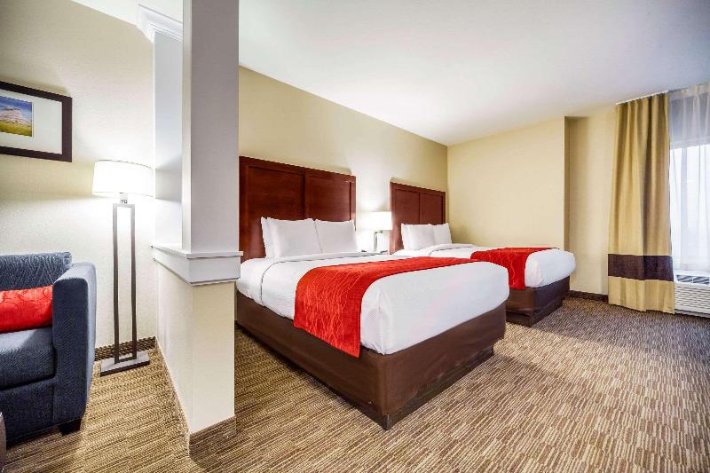适合残疾人士使用的套间, Comfort Inn & Suites North Platte I80