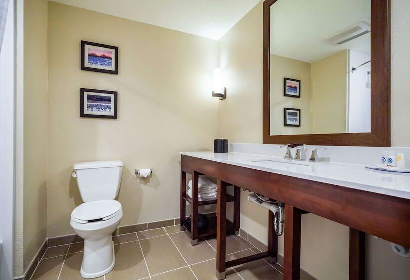 장애인을 위한 스위트, Comfort Inn & Suites North Platte I80