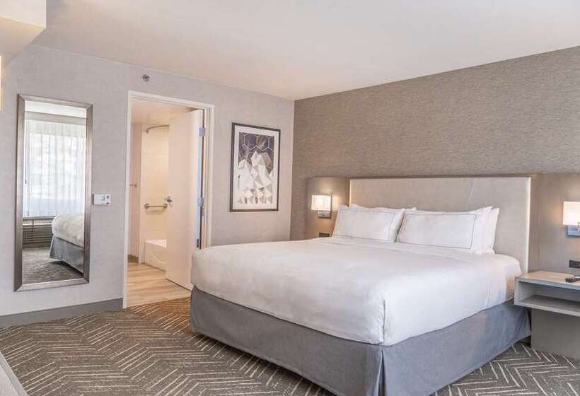 חדר סטנדרט עם מיטת קינג, Doubletree By Hilton Gainesville