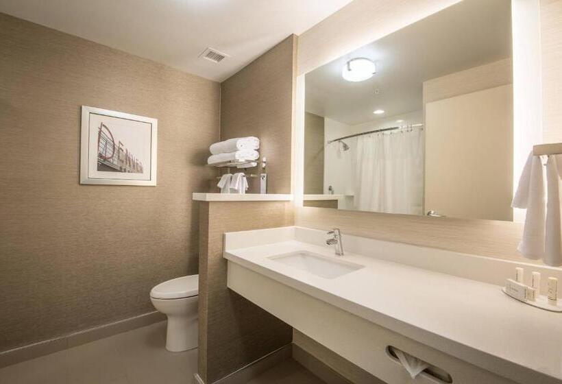 Номер Стандарт Вид на Город, Fairfield Inn & Suites By Marriott Denver Downtown