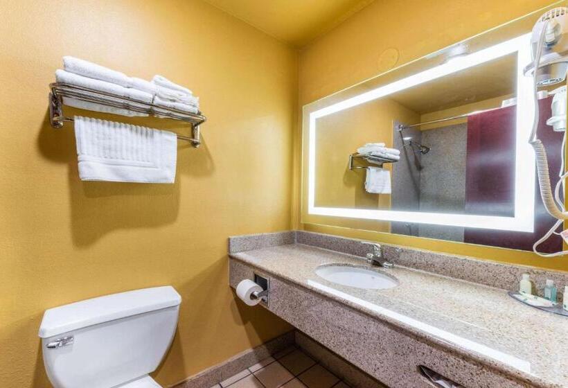 Suíte Cama King, Quality Inn & Suites