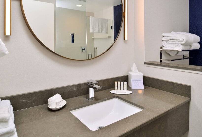 Люкс, Fairfield Inn & Suites By Marriott Canton