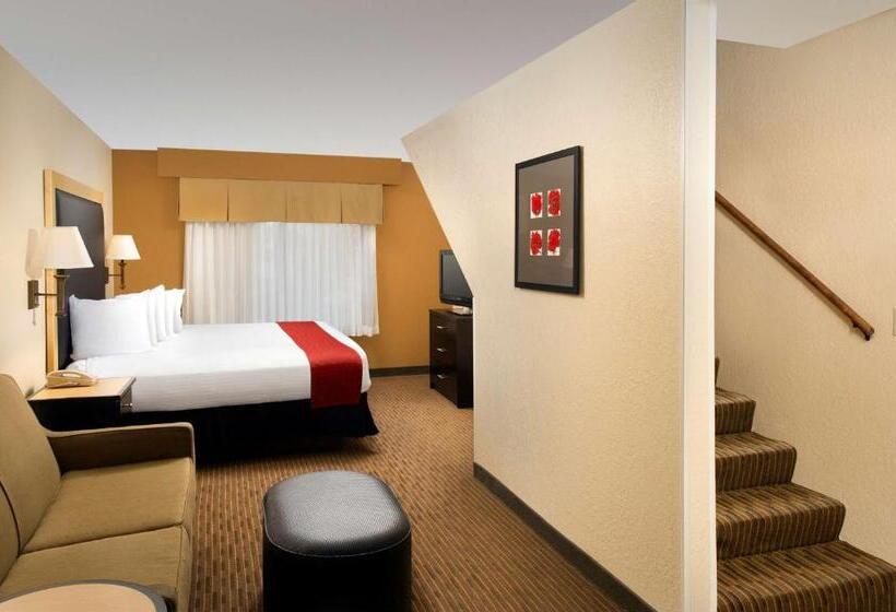 套房, Best Western Alamo Suites Downtown