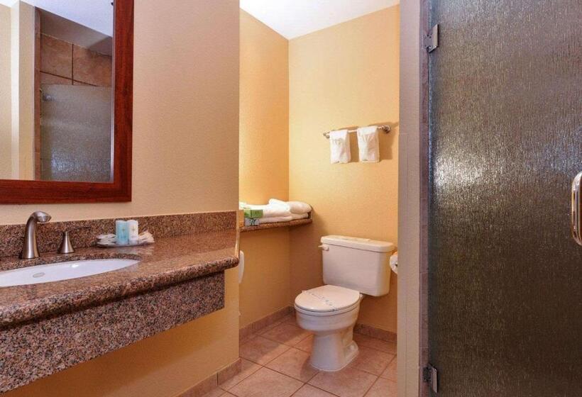 Номер Стандарт, Spark By Hilton Fountain Hills Scottsdale