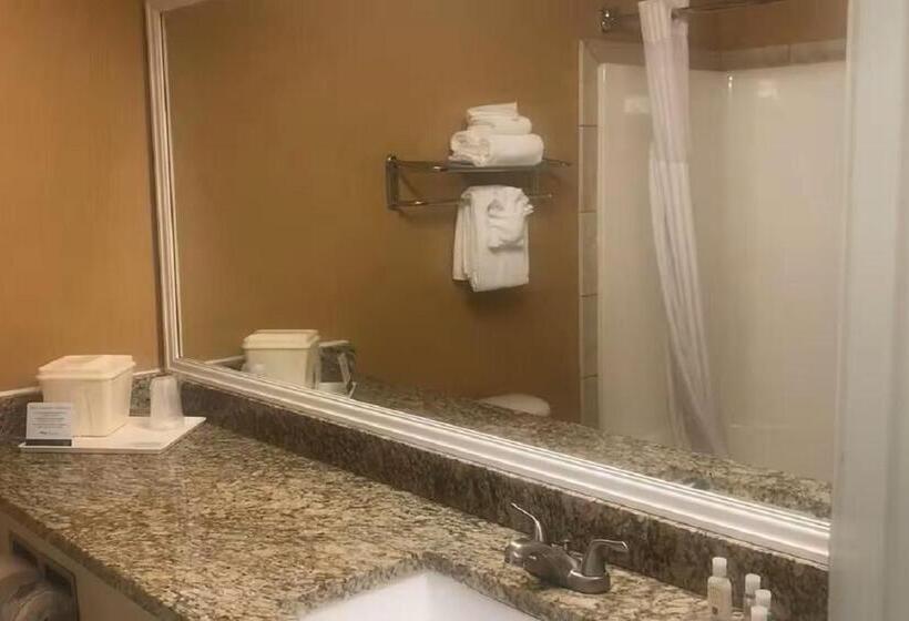 Стандартный Номер Кровать Кинг, Quality Inn & Suites Loveland