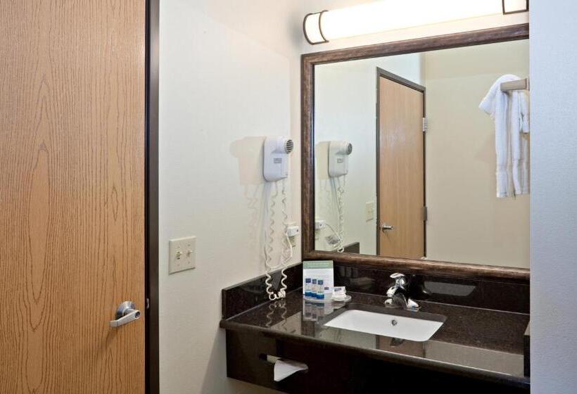 스탠다드 룸 킹사이즈 침대, Americinn And Suites By Wyndham Delafield Waukesha Milwaukee
