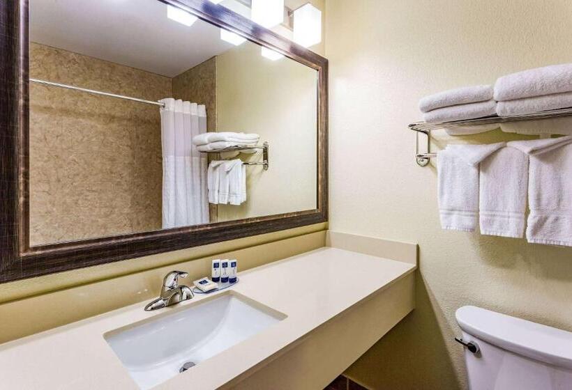 Стандартный Номер Кровать Кинг, Americinn & Suites Burnsville, Mn