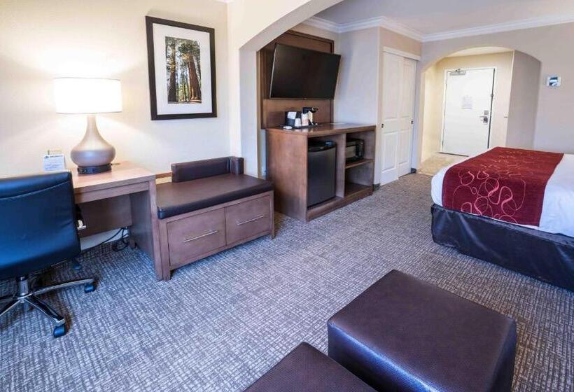 Номер Стандарт Кровать Кинг Адаптированный для Инвалидов, Comfort Suites Fresno River Park