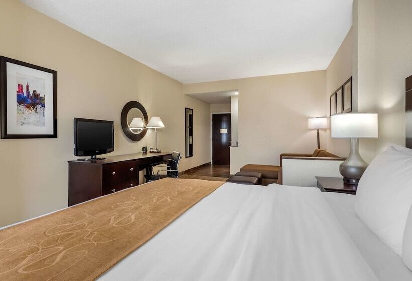 スイート, Comfort Suites Lafayette University Area