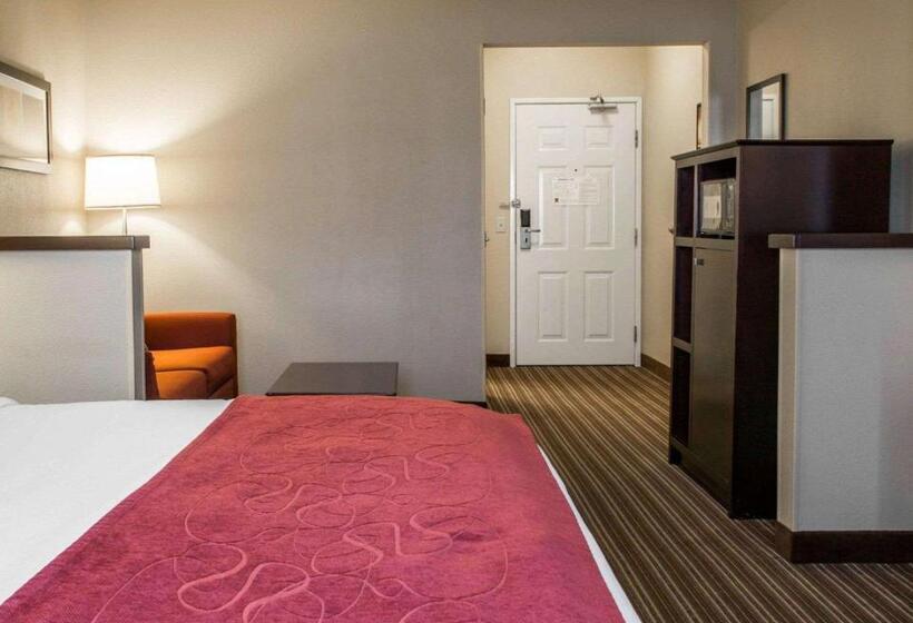 带大床的套房, Comfort Suites Saginaw