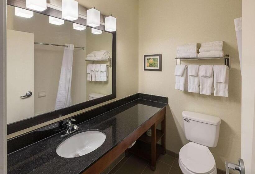 Люкс Кровать Кинг, Comfort Suites Saginaw