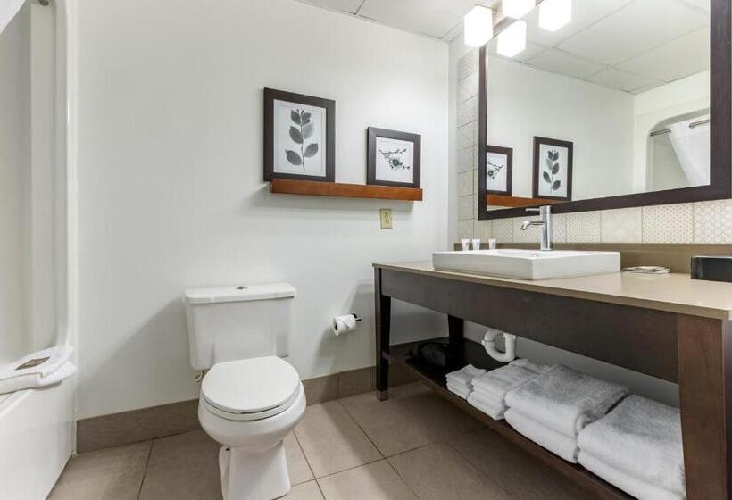 Студия Стандарт, Country Inn & Suites By Radisson, Lumberton, Nc