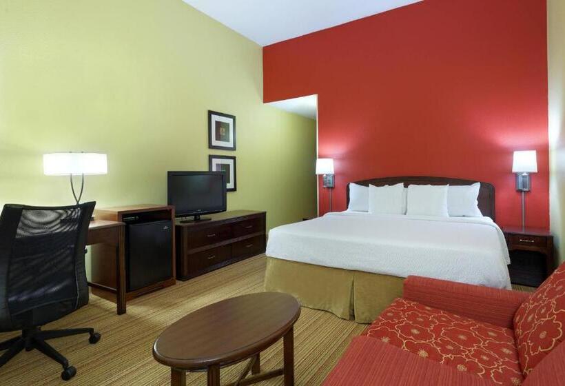 스탠다드 룸 킹사이즈 침대, Courtyard Chesapeake Greenbrier