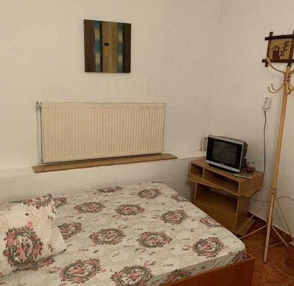 デラックスルーム, Casa Pitaru