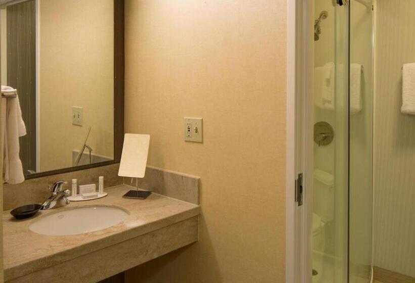 Стандартный Номер Кровать Кинг, Courtyard By Marriott Anchorage Airport
