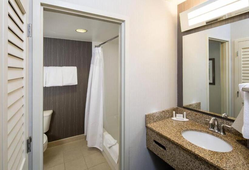 اتاق استاندارد با تخت بزرگ, Courtyard By Marriott San Antonio Airport/north Star Mall