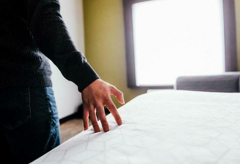 适合残疾人士使用的带超级大床的标准间, Holiday Inn Express   Sarnia   Point Edward, An Ihg