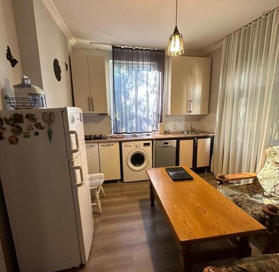 ویلای 3 خوابه, Guest House Amazon