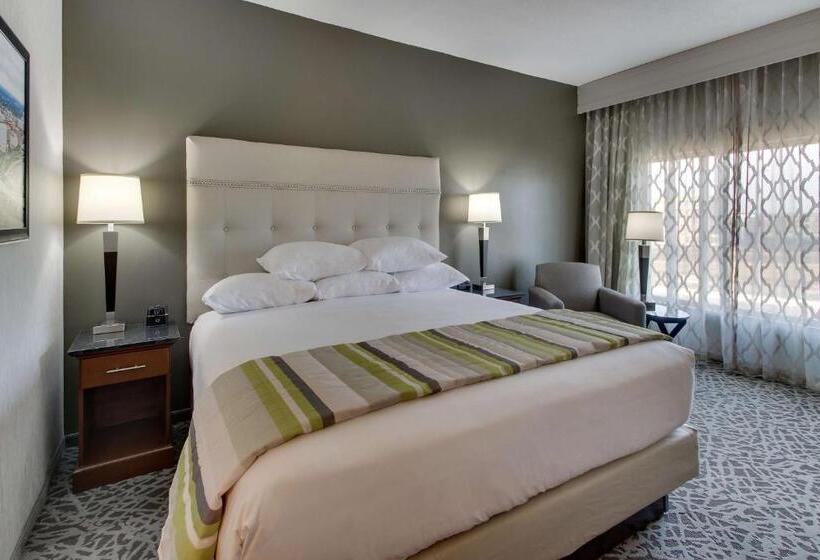 Номер Deluxe Кровать Кинг, Drury Plaza Hotel Savannah Pooler