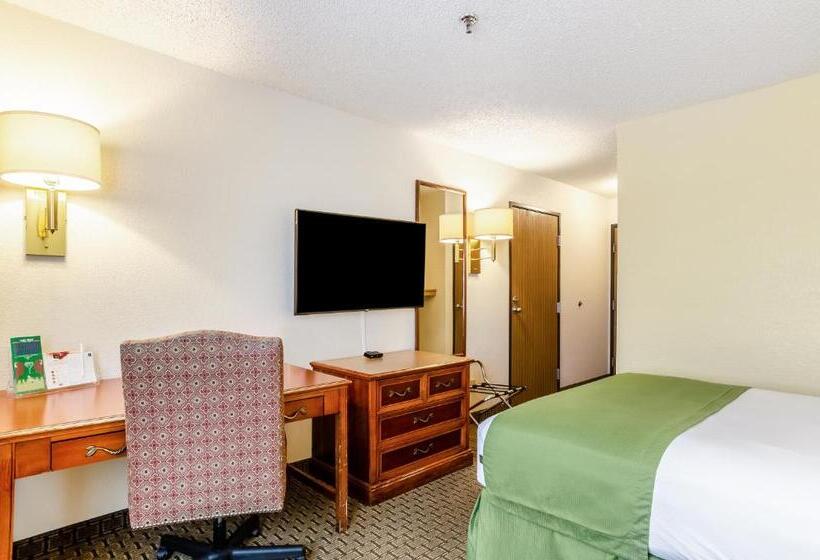 带大床的套房, Cheyenne Guest Inn