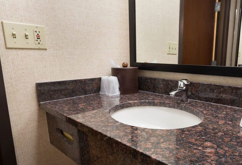 장애인용 디럭스룸, Drury Inn & Suites Champaign