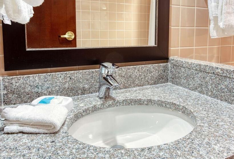 Номер Deluxe, Heritage Inn & Suites St. Louis/fenton, Trademark By Wyndham