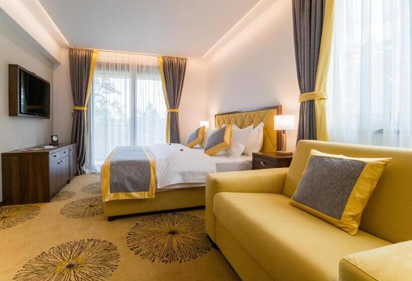 اتاق استاندارد با تراس, Buket Zlatibor