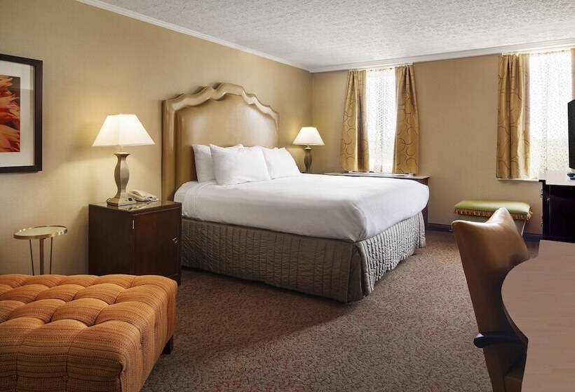 스탠다드 룸, Crowne Plaza Louisville Airport Expo Ctr, An Ihg
