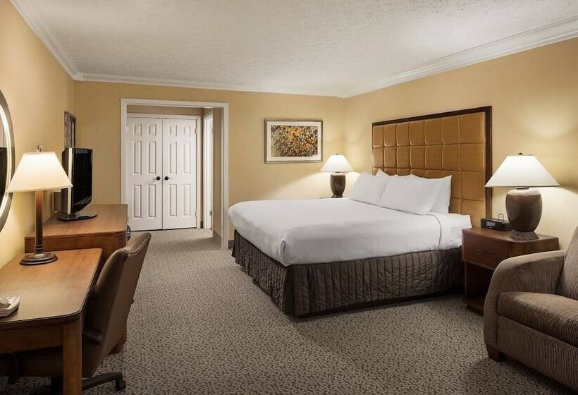 스위트, Crowne Plaza Louisville Airport Expo Ctr, An Ihg