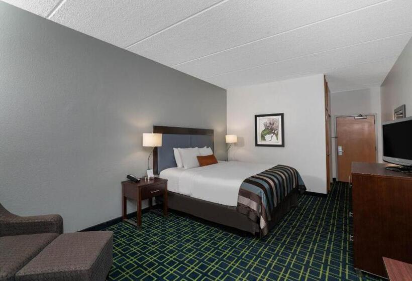 Номер Стандарт Кровать Кинг Адаптированный для Инвалидов, Wingate By Wyndham Fletcher At Asheville Airport