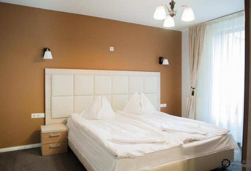 Superior Kamer, Pensiunea Schwartz