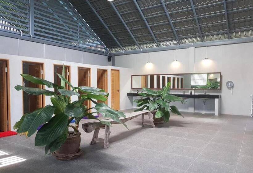 Tienda Estándar, Arabica Khaokho