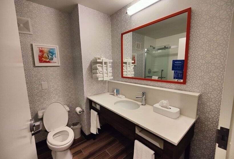 Номер Стандарт, Hampton Inn Atlanta/peachtree City