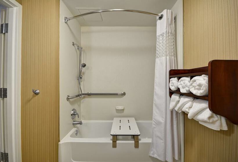 Номер Стандарт Адаптированный для Инвалидов, Hampton Inn Detroit/northville