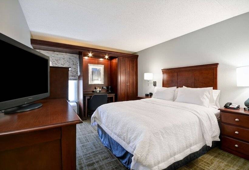 Номер Стандарт Адаптированный для Инвалидов, Hampton Inn Detroit/northville