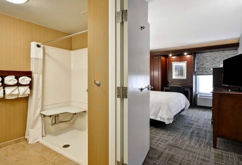 Номер Стандарт Адаптированный для Инвалидов, Hampton Inn Detroit/northville