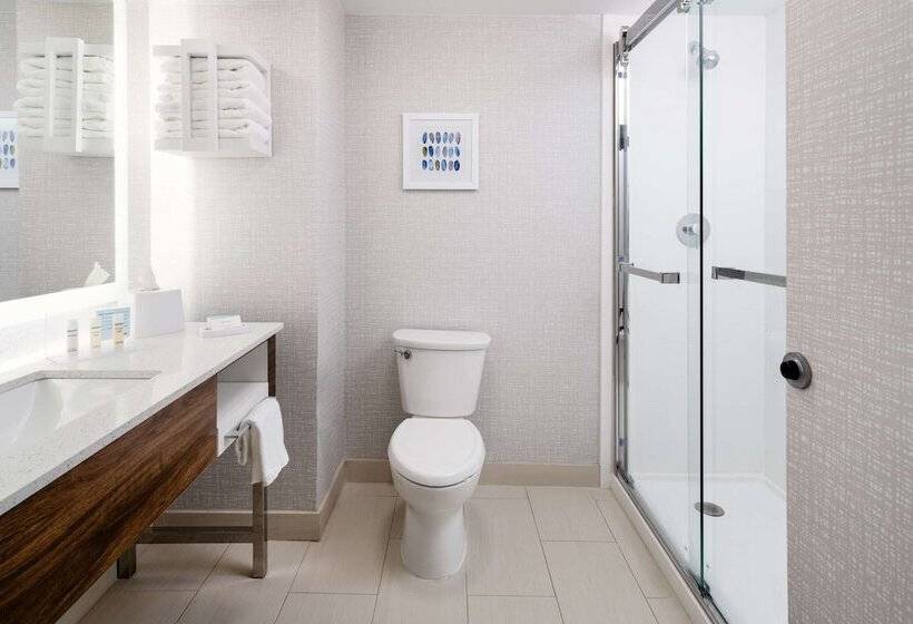 Номер Стандарт 2 Двуспальные Кровати, Hampton Inn Richmondsouthwesthull Street