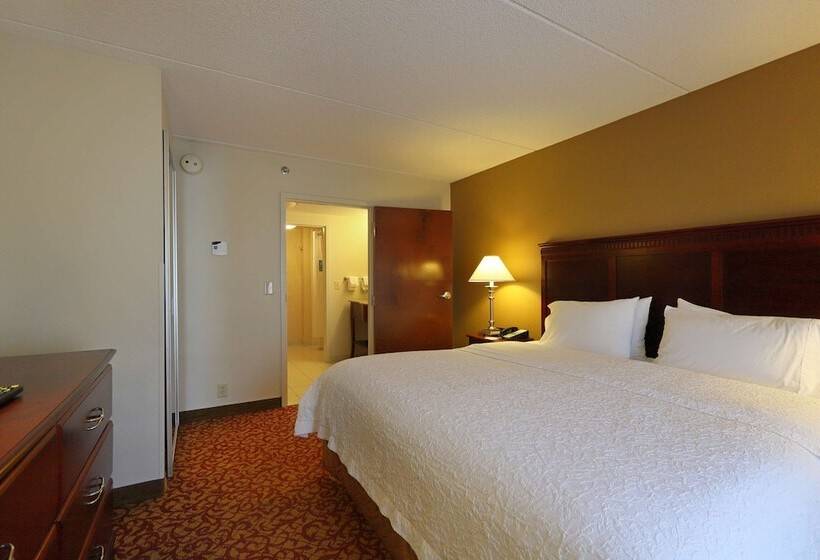 套房, Hampton Inn & Suites Charlottesvilleat The University