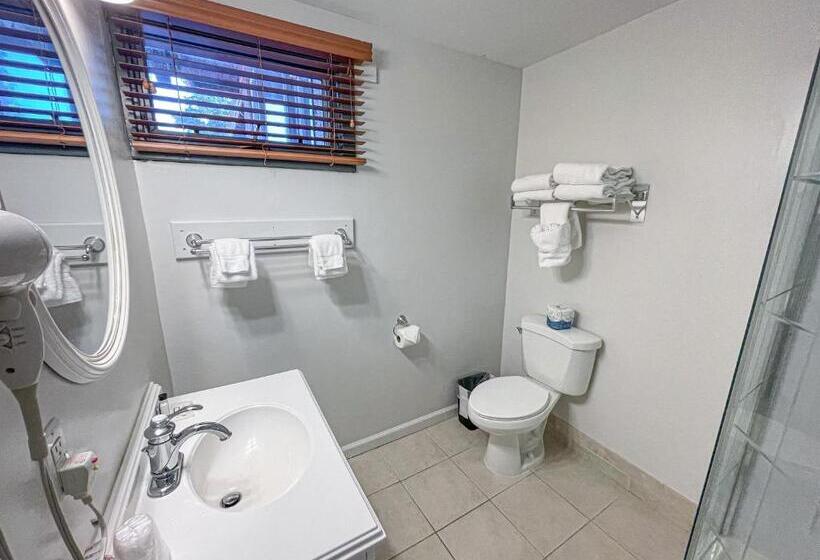 חדר סטנדרט, Otsego Resort
