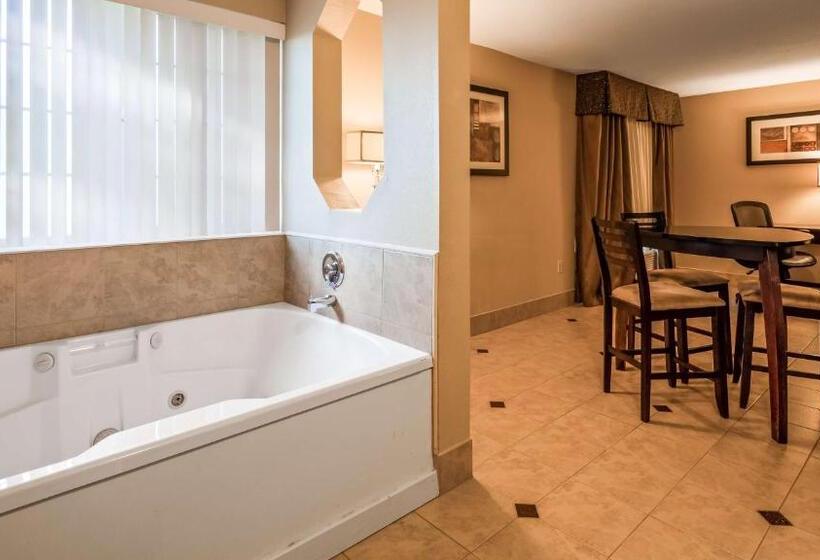 스탠다드 룸 킹사이즈 침대, Best Western Plus Prairie Inn