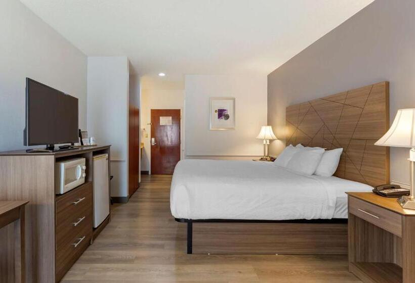 Стандартный Номер Кровать Кинг, Best Western Plus South Hill Inn