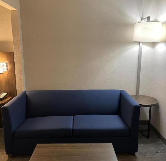 Стандартный Номер Кровать Кинг, Holiday Inn Express Hotel & Suites Hiawassee, An Ihg