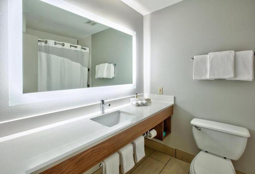 스탠다드 룸 킹사이즈 침대, Holiday Inn Express   Hope, An Ihg