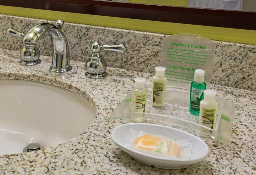 חדר סטנדרט, Holiday Inn Hotel French Quarter Chateau Lemoyne, An Ihg