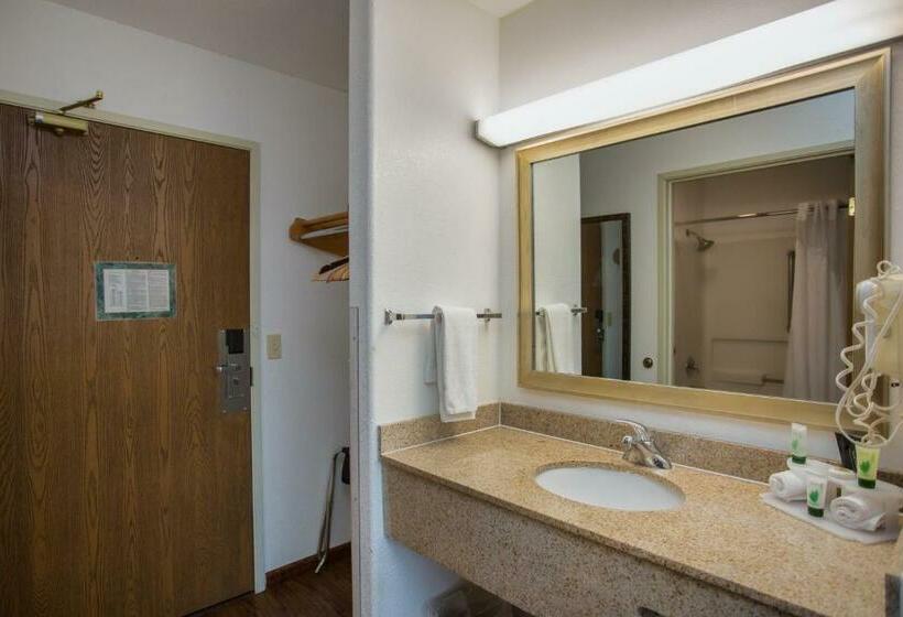 Стандартный Номер Кровать Кинг, Vagabond Inn Executive
