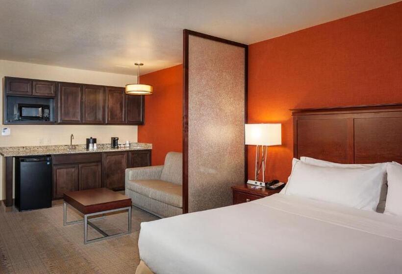 キングサイズベッドのデラックスルーム, Hampton Inn Pullman