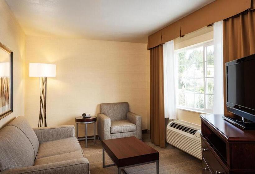 スイート, Hampton Inn Pullman
