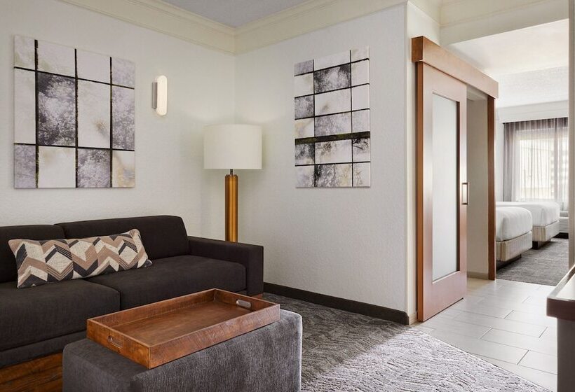 Lakosztály, Springhill Suites By Marriott San Antonio Downtown Riverwalk Area